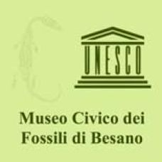 Museo dei Fossili di Besano